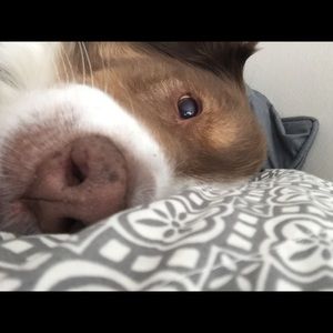 Meet your Posher, Sue